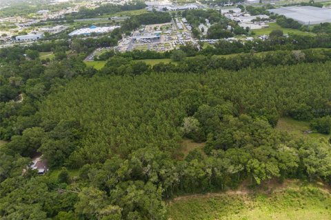 Land in Ocala, Florida № 1777380 - photo 5