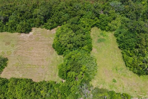 Land in Ocala, Florida № 1777380 - photo 17