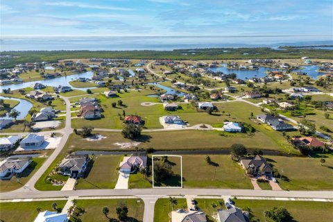 Land in Punta Gorda, Florida № 2160905 - photo 9