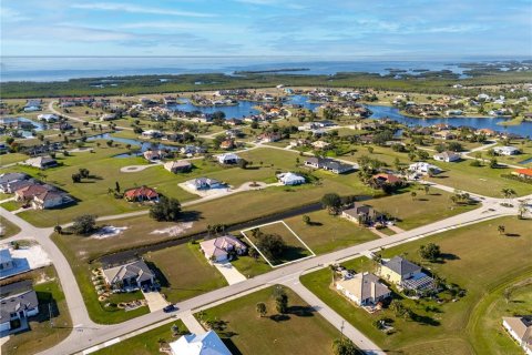 Land in Punta Gorda, Florida № 2160905 - photo 5