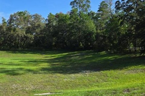 Land in Hudson, Florida № 1894938 - photo 3