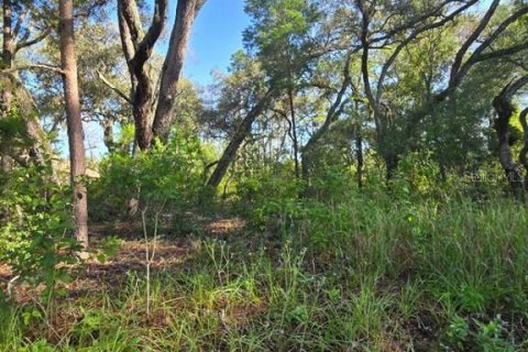 Land in Hudson, Florida № 1894938 - photo 1