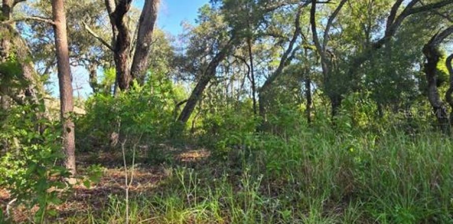 Land in Hudson, Florida № 1894938