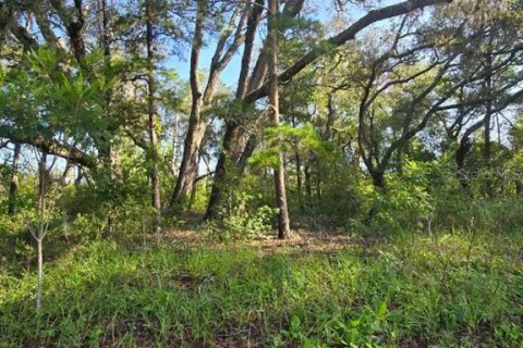 Land in Hudson, Florida № 1894938 - photo 2