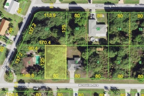 Land in Port Charlotte, Florida № 2162810