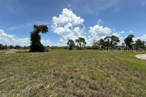 Terrain à Placida, Floride № 2367522