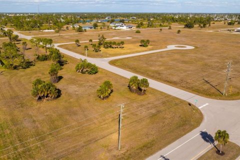 Land in Placida, Florida № 2212094 - photo 9
