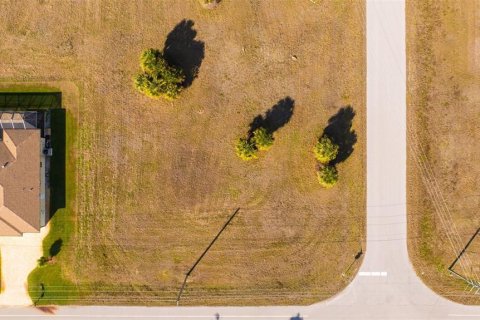 Land in Placida, Florida № 2212094 - photo 4