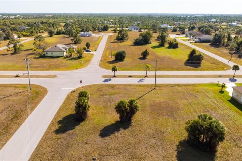 Land in Placida, Florida № 2212094 - photo 6