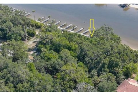 Immobilier commercial à Palm Coast, Floride № 2330779