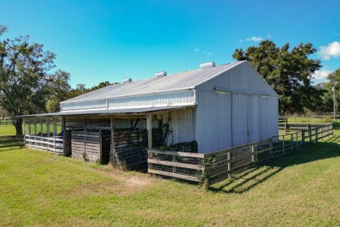 House in Summerfield, Florida 3 bedrooms, 147.81 sq.m. № 2141679 - photo 23