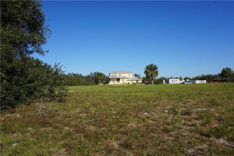 Terreno en venta en Punta Gorda, Florida № 213575 - foto 15