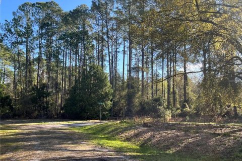 Land in Georgetown, Florida № 2159591 - photo 6