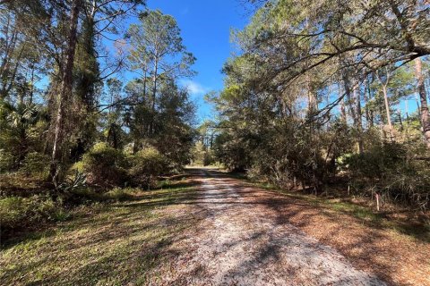 Land in Georgetown, Florida № 2159591 - photo 2