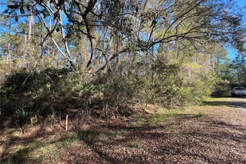 Land in Georgetown, Florida № 2159591 - photo 3