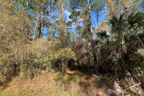 Land in Georgetown, Florida № 2159591 - photo 5