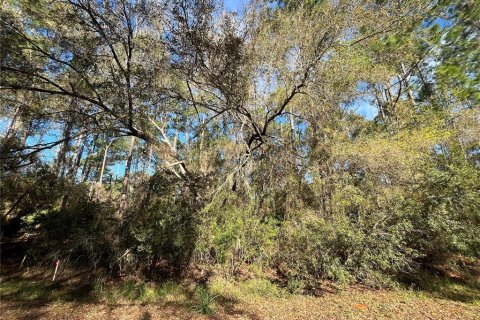 Land in Georgetown, Florida № 2159591