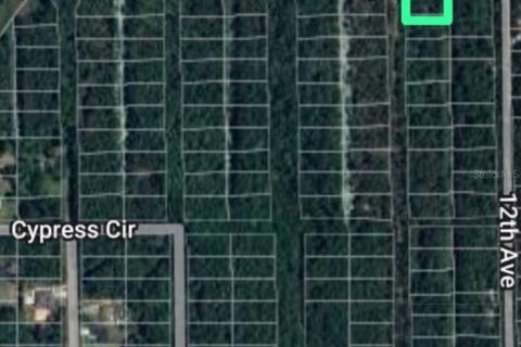 Land in DeLand, Florida № 2161220 - photo 2