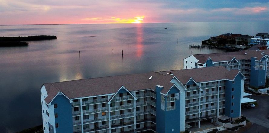 Condo à Port Richey, Floride, 2 chambres № 2259159