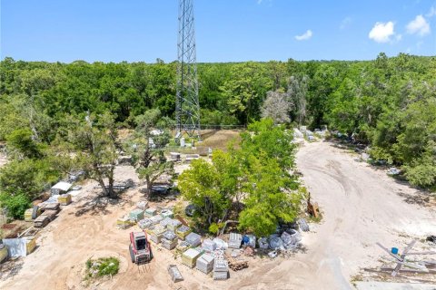Commercial property in Brooksville, Florida 302.77 sq.m. № 1717072 - photo 2