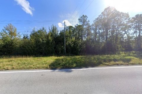 Terrain à vendre à Polk City, Floride № 2163948 - photo 2