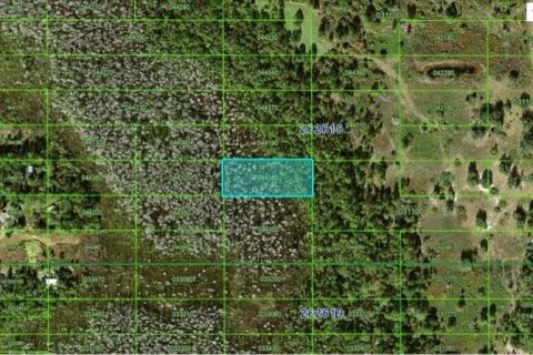 Terrain à Polk City, Floride № 2163948