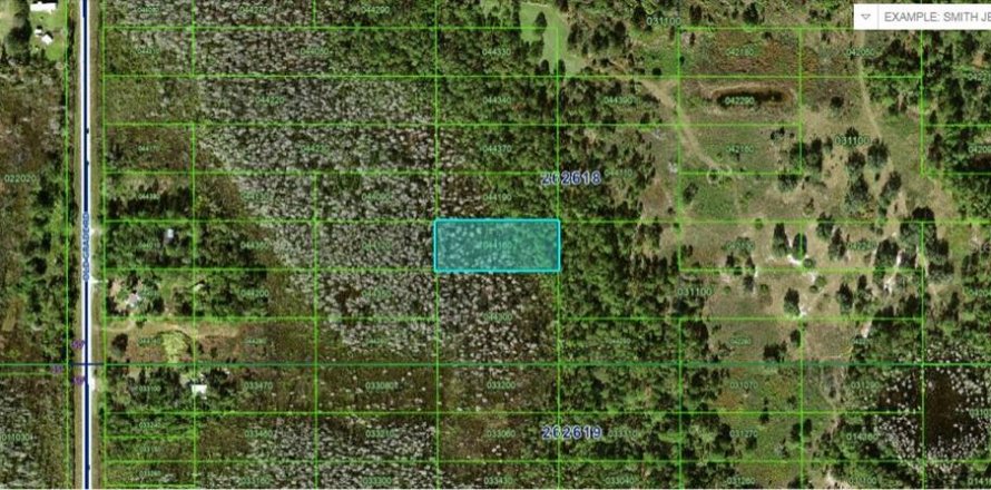 Terrain à Polk City, Floride № 2163948
