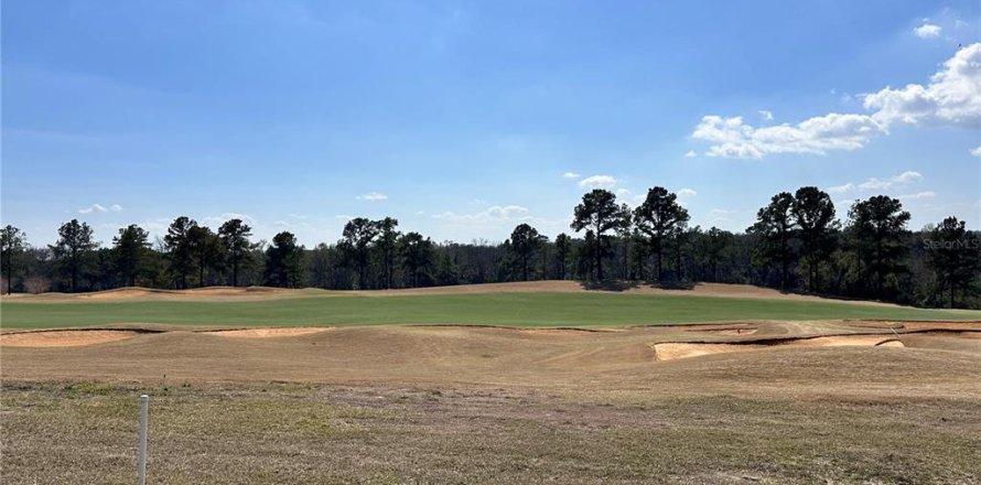 Terreno en Montverde, Florida № 2316639