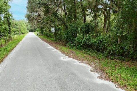 Terreno en venta en Palatka, Florida № 1826264 - foto 8