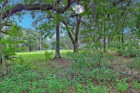 Terreno en venta en Palatka, Florida № 1826264 - foto 12