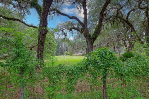 Terreno en venta en Palatka, Florida № 1826264 - foto 14