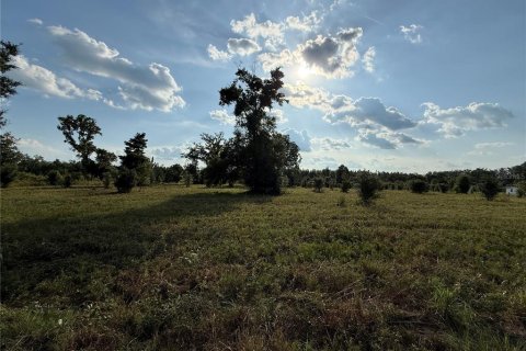 Купить земельный участок в Хай-Спрингс, Флорида № 1801713 - фото 1