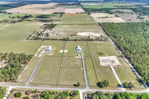 House in Morriston, Florida 4 bedrooms, 515.79 sq.m. № 2097503 - photo 5