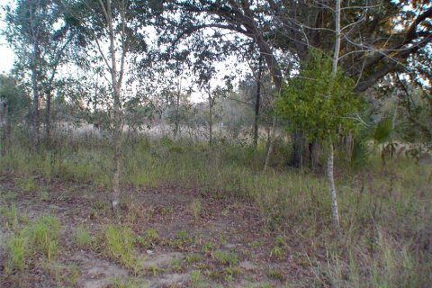Terreno en Lady Lake, Florida № 2163609