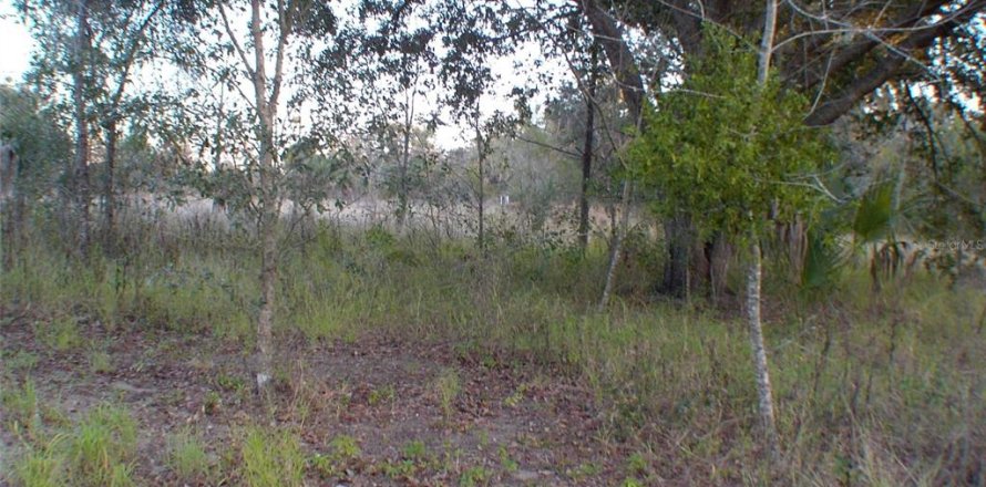 Land in Lady Lake, Florida № 2163609