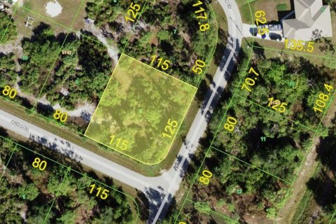 Land in Port Charlotte, Florida № 2367412