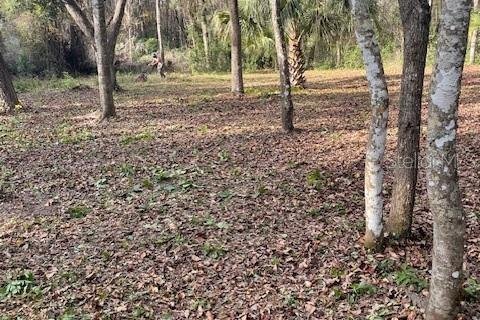Land in Citra, Florida № 2162014 - photo 2