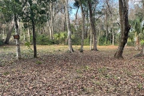 Land in Citra, Florida № 2162014