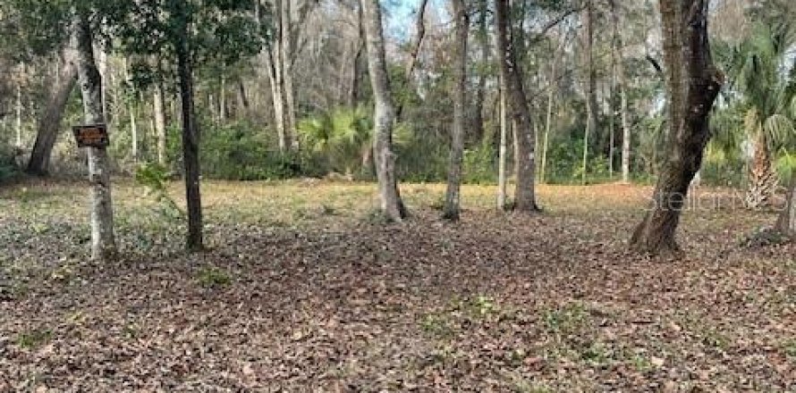 Land in Citra, Florida № 2162014