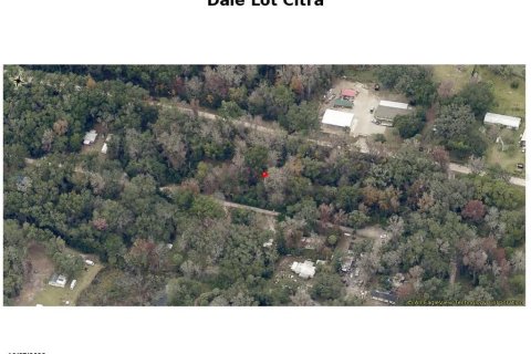 Land in Citra, Florida № 2162014 - photo 3