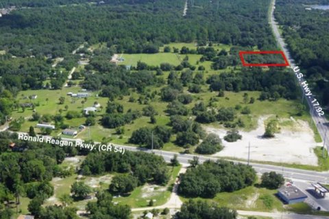 Land in Davenport, Florida № 1449118 - photo 1