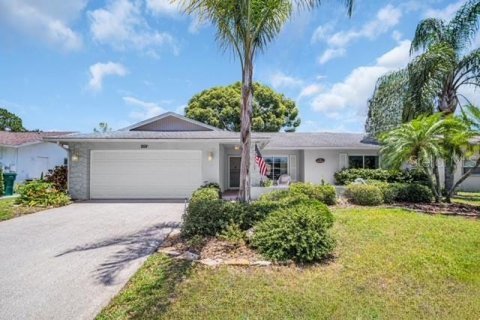 House in Palm Harbor, Florida 2 bedrooms, 142.6 sq.m. № 1721089 - photo 1