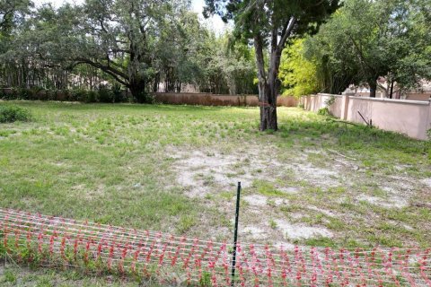 Land in Four Corners, Florida № 1845112 - photo 17
