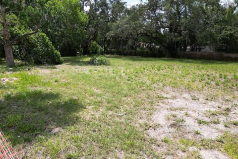 Land in Four Corners, Florida № 1845112 - photo 19