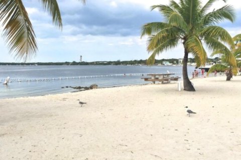 Appartement à louer à Key Largo, Floride: 3 chambres, 87.33 m2 № 1753030 - photo 24