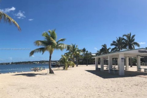 Appartement à louer à Key Largo, Floride: 3 chambres, 87.33 m2 № 1753030 - photo 25