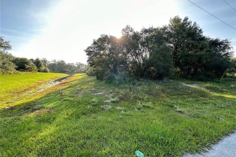 Terreno en Kissimmee, Florida № 2164855