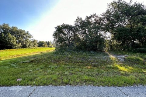 Terreno en venta en Kissimmee, Florida № 2164855 - foto 2