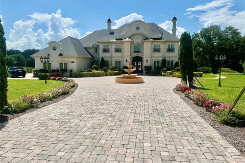 House in Winter Garden, Florida 6 bedrooms, 690.08 sq.m. № 1803072 - photo 2
