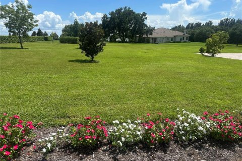 House in Winter Garden, Florida 6 bedrooms, 690.08 sq.m. № 1803072 - photo 23
